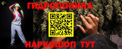 прущие грибы Гусев